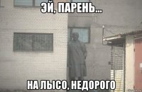  на лысо, недорого