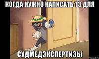 когда нужно написать тз для судмедэкспертизы