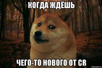 когда ждёшь чего-то нового от cr