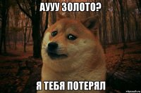 аууу золото? я тебя потерял