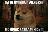 ты не купила печеньки? я сейчас разплачюсь!!!