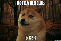 когда ждешь 5 сек