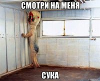 смотри на меня сука