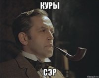 куры сэр