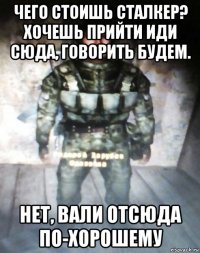 чего стоишь сталкер? хочешь прийти иди сюда, говорить будем. нет, вали отсюда по-хорошему