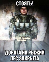 стоять! дорога на рыжий лес закрыта