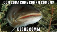 сом сома сому сомим сомому везде сомы