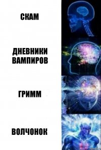 скам дневники вампиров Гримм Волчонок