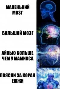 маленький мозг большой мозг айкью больше чем у мамикса поясни за коран ежжи