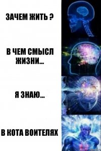 Зачем жить ? В чем смысл жизни... Я знаю... В кота воителях