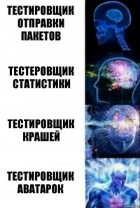 Тестировщик отправки пакетов Тестеровщик статистики Тестировщик крашей Тестировщик аватарок