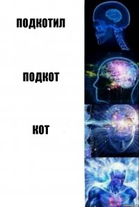 ПОДКотил подкот кот 