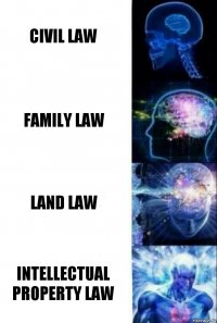 Civil Law Family law Land Law intellectual property Law