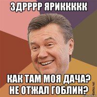 здрррр яриккккк как там моя дача? не отжал гоблин?