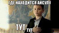 где находится айсулу тут