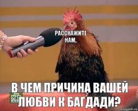 расскажите нам, в чем причина вашей любви к багдади?