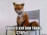  какого хуя они такие старые?