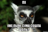 пх уже пьян, сума сошла шоль?