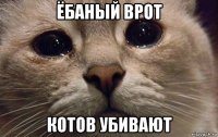 ёбаный врот котов убивают