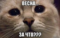 весна... за что???