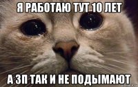 я работаю тут 10 лет а зп так и не подымают