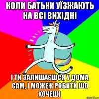 коли батьки уїзжають на всі вихідні і ти залишаєшся у дома сам, і можеж робити шо хочеш)