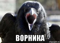 ворника