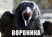  вороника