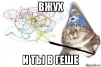 вжух и ты в геше