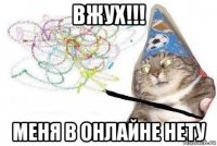 вжух!!! меня в онлайне нету