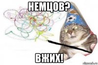 немцов? вжих!