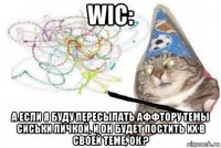 wic: а если я буду пересылать аффтору темы сиськи личкой, и он будет постить их в своей теме, ок ?