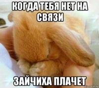 когда тебя нет на связи зайчиха плачет