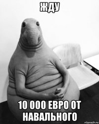 жду 10 000 евро от навального