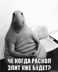  че когда раскол элит уже будет?