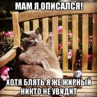 мам я описался! хотя блять я же жирный никто не увидит