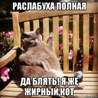 раслабуха полная да блять! я же жирный кот