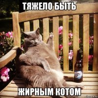 тяжело быть жирным котом