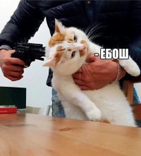 Создать мем Bettingmemes