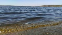Создать мем Эх красота