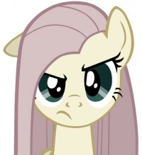 Создать мем Fluttershy