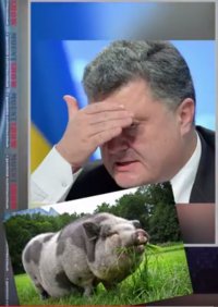 Создать мем Гарант
