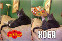 Создать мем Хоба