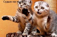 Создать мем Мазила