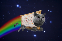 Создать мем Нян кот