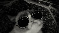 Создать мем Оголо