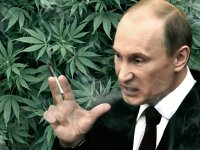 Создать мем План путина