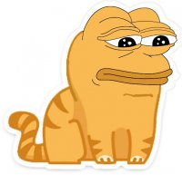 Создать мем Саша кот