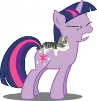 Создать мем Twilight Sparkle