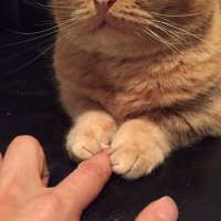 Создать мем Ы